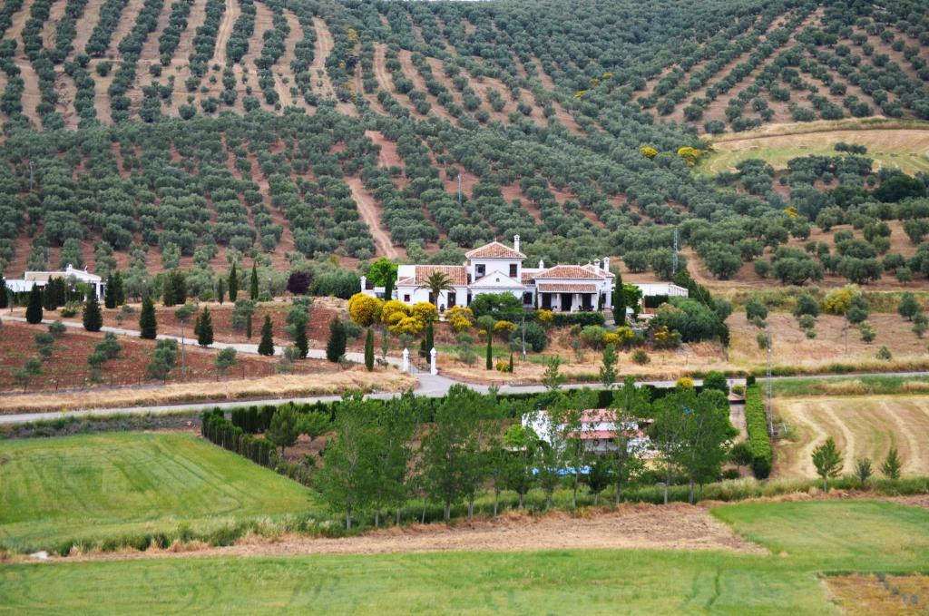 Gasthaus Cortijo Sabila Villanueva del Rosario Exterior foto